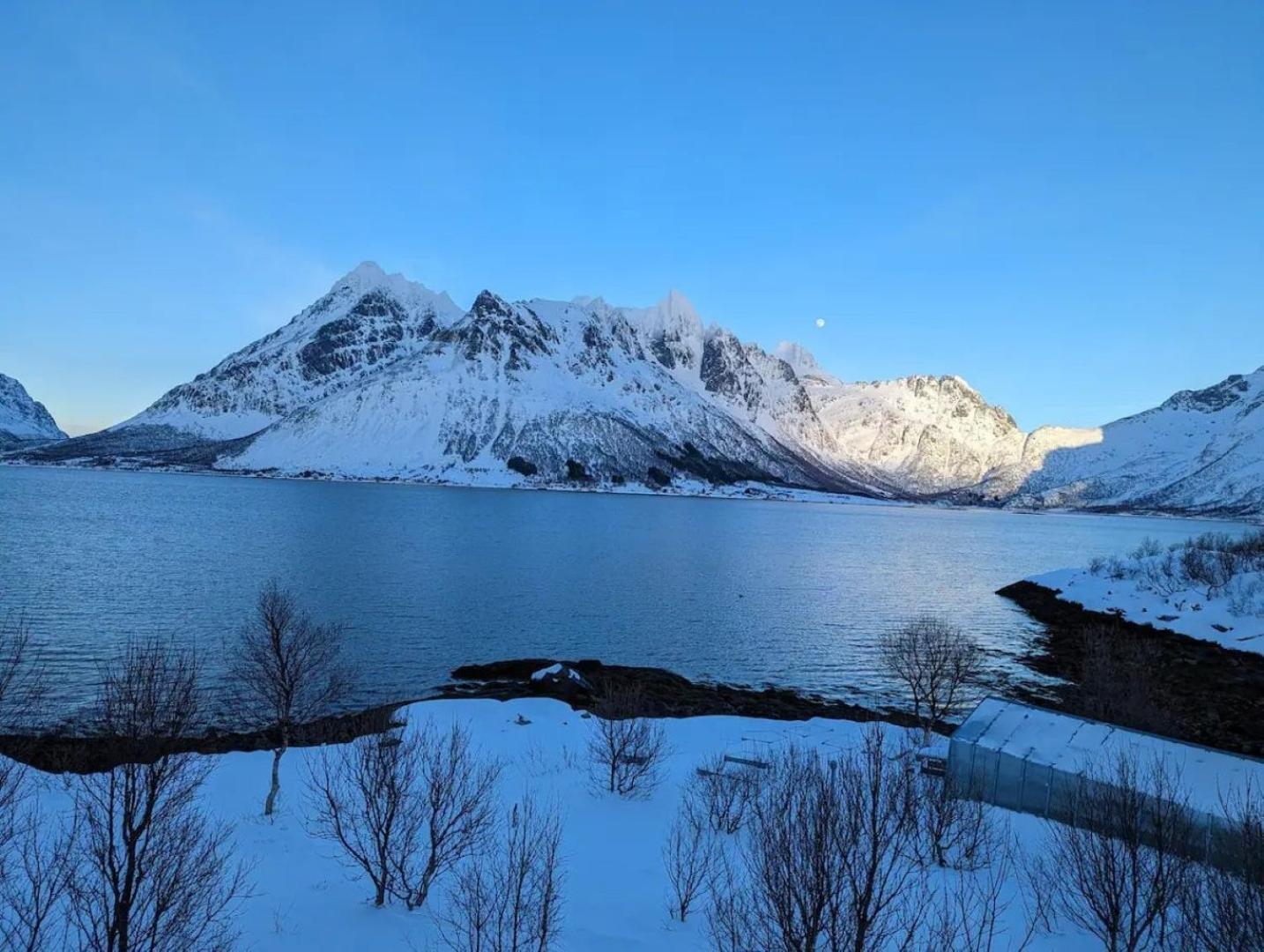 Nydelig Hytte Med Fantastisk Beliggenhet Ved Sjoen Villa Laupstad Exterior foto